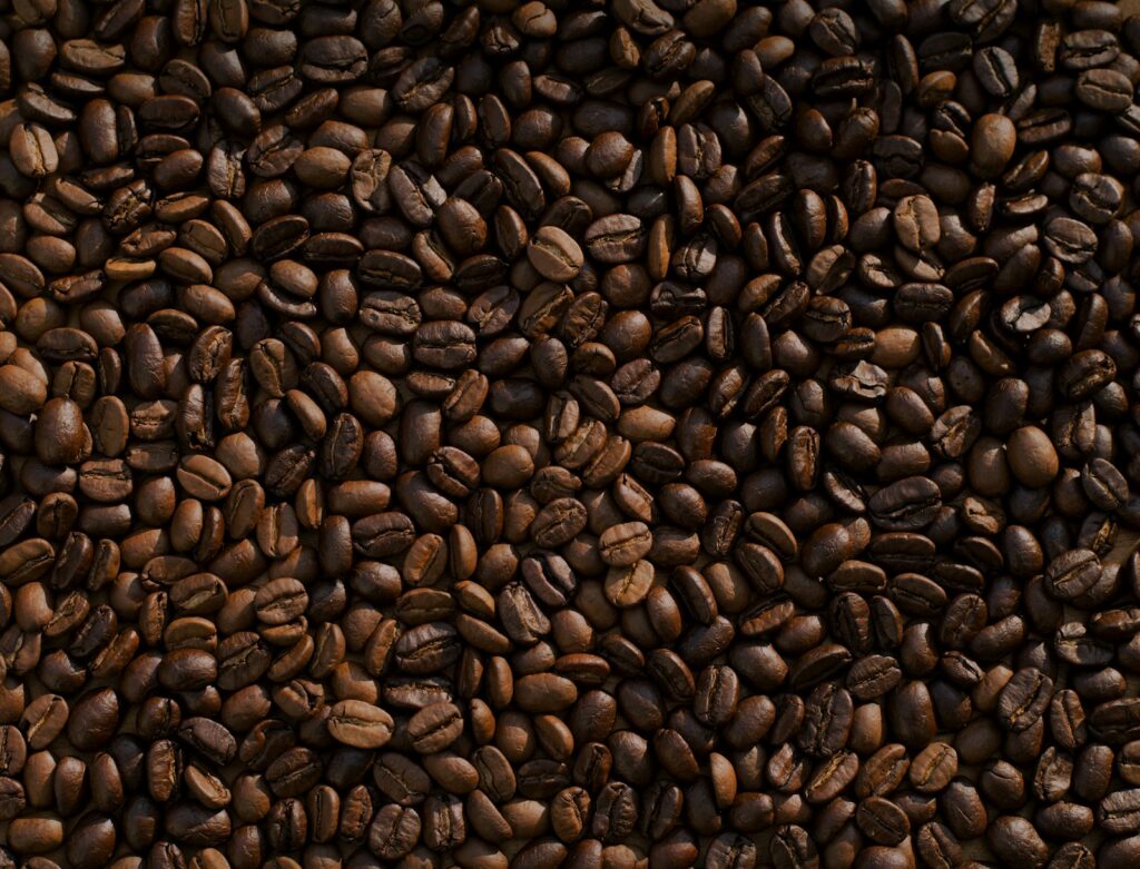 Grãos de café especial